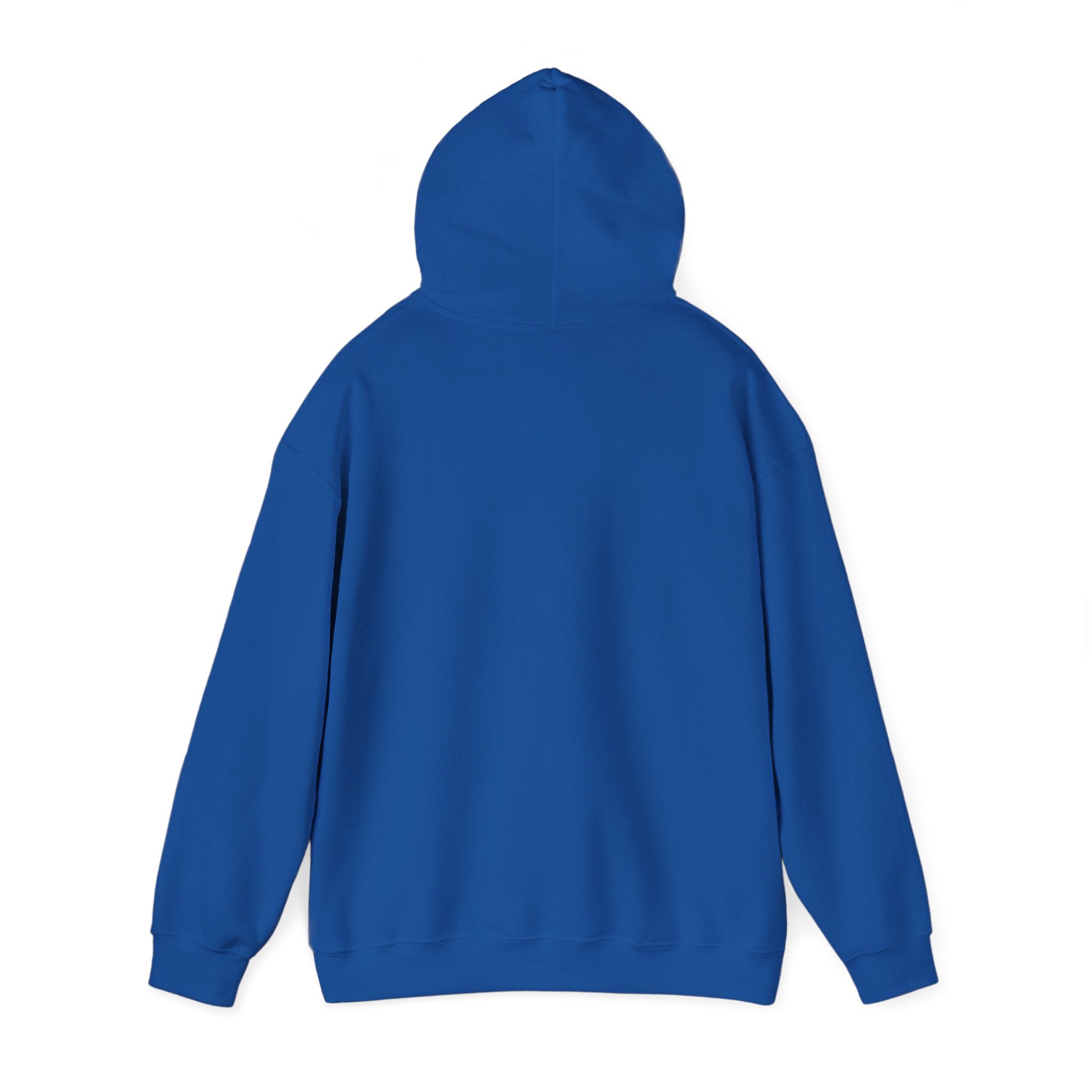 Hoodie - Basketball Edition, Blue and Orange, Black and Orange, Unisex Sweatshirt, Gift for Fans, Cozy Fall Hoodie, Forever Next Year NY™
