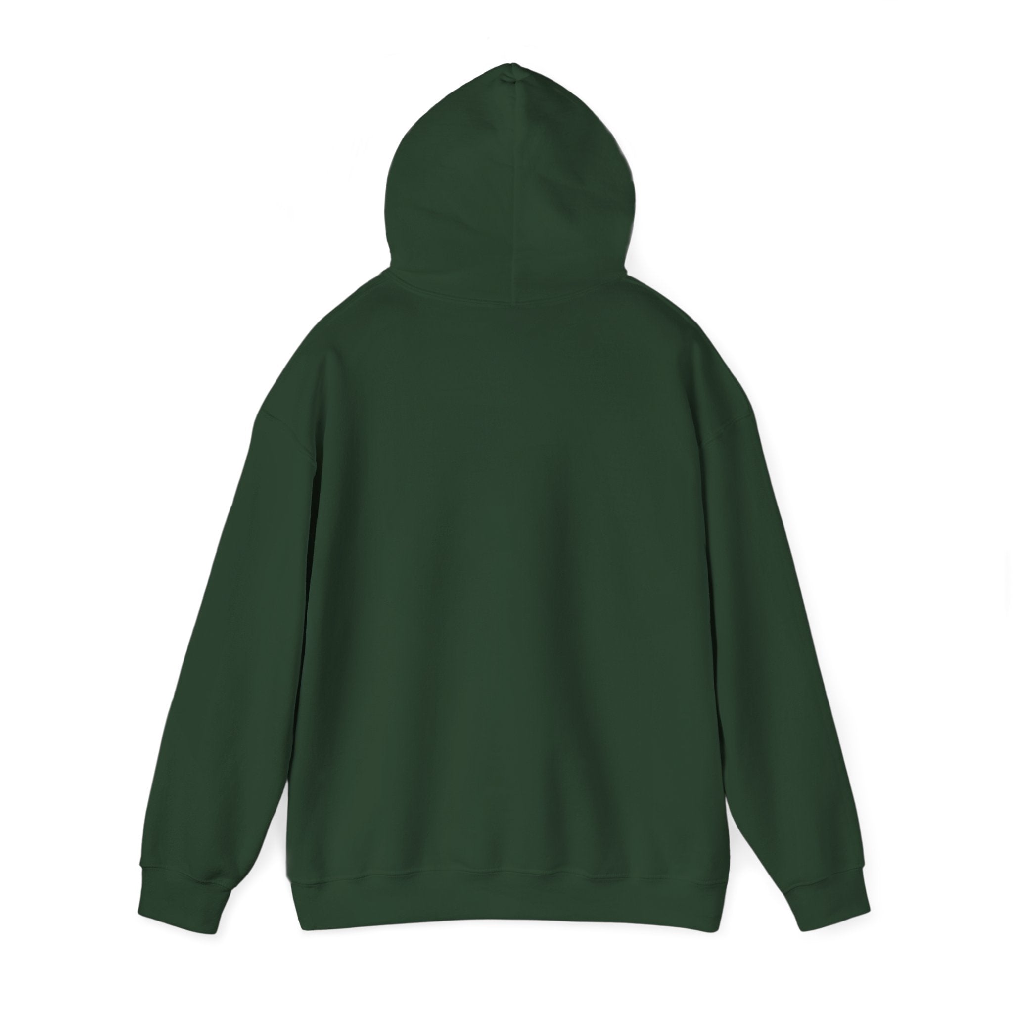 Hoodie - Football Edition, Green and White, Unisex Sweatshirt, Gift for Fans, Cozy Fall Hoodie, Forever Next Year NY™