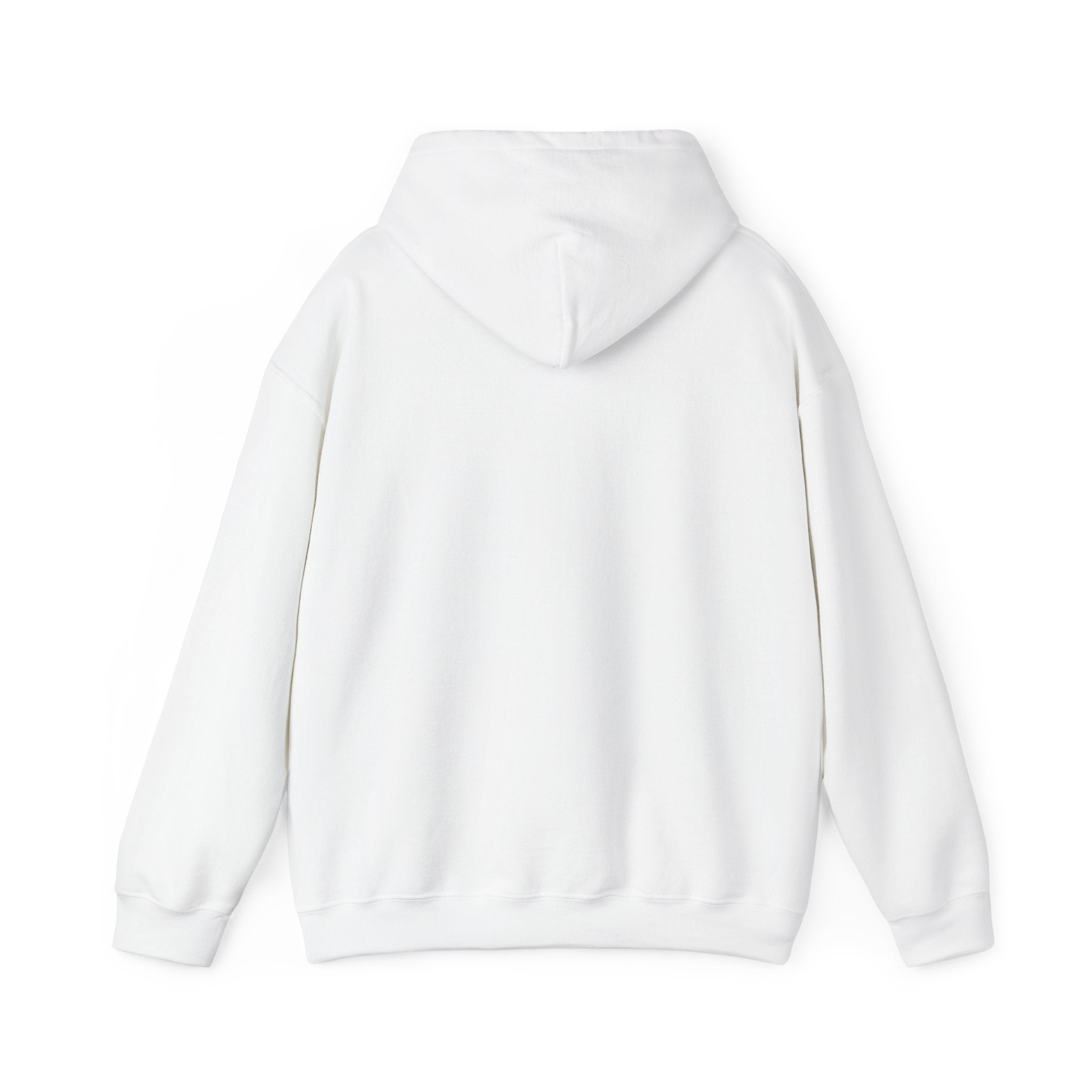 Hoodie - Hockey Edition, Red, White, and Blue, Unisex Sweatshirt, Gift for Fans, Cozy Fall Hoodie, Forever Next Year NY™