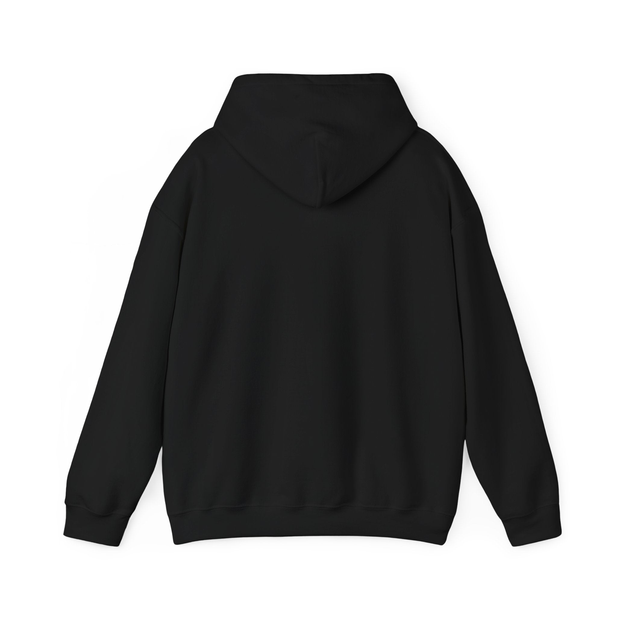 Hoodie - Basketball Edition, Blue and Orange, Black and Orange, Unisex Sweatshirt, Gift for Fans, Cozy Fall Hoodie, Forever Next Year NY™