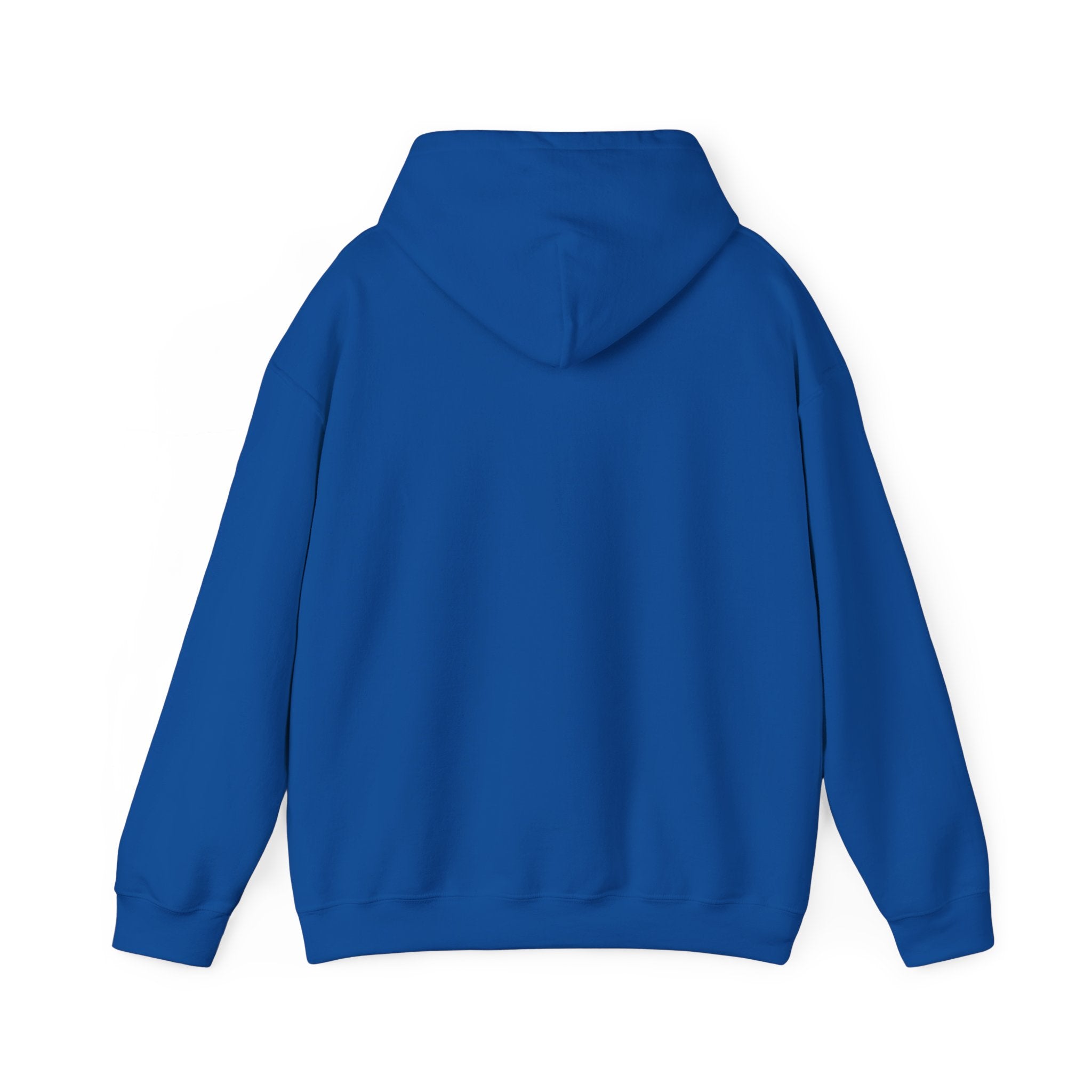 Hoodie - Basketball Edition, Blue and Orange, Black and Orange, Unisex Sweatshirt, Gift for Fans, Cozy Fall Hoodie, Forever Next Year NY™