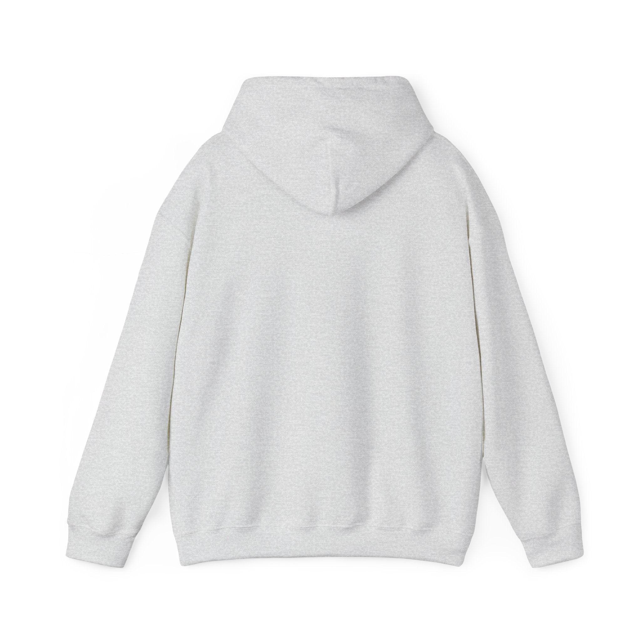 Hoodie - Hockey Edition, Blue, White and Orange, Unisex Sweatshirt, Gift for Fans, Cozy Fall Hoodie, Forever Next Year NY™