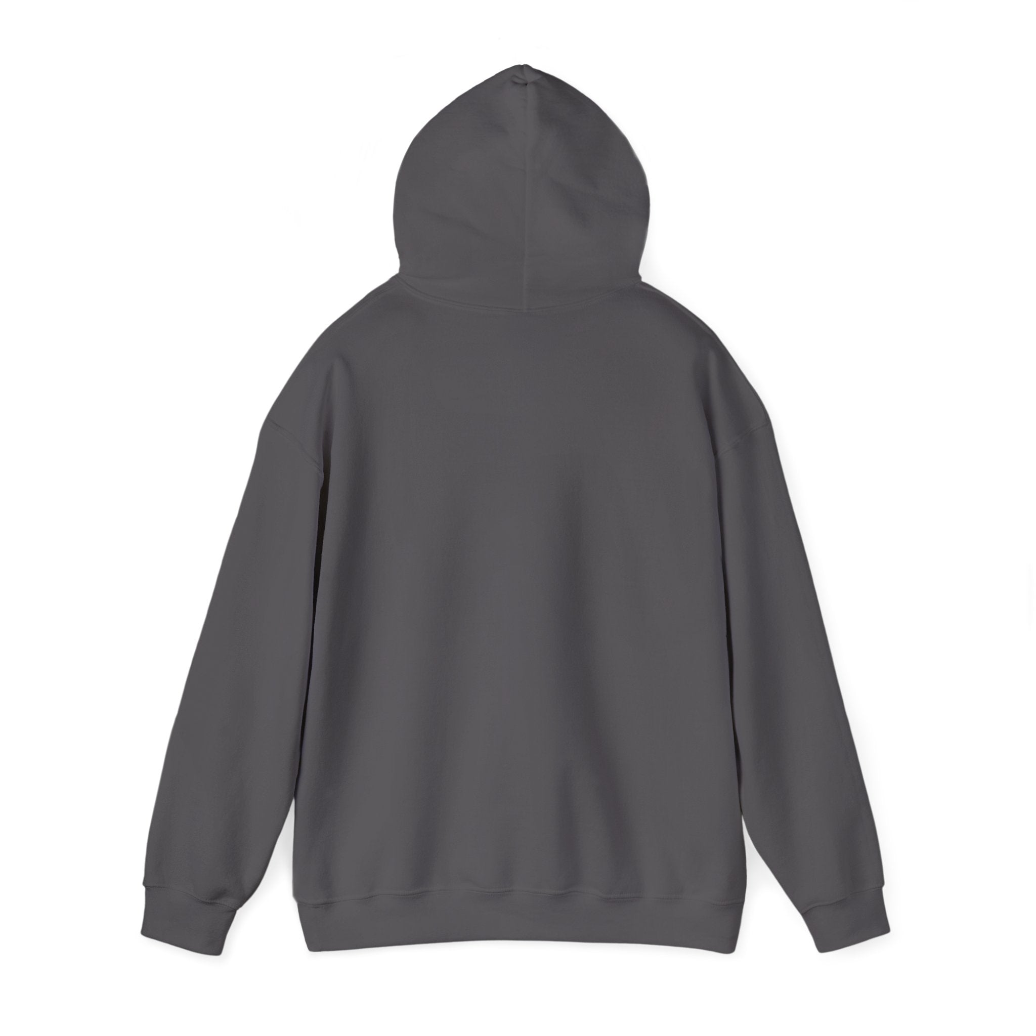 Hoodie - Football Edition, Black and Green, White and Green, Unisex Sweatshirt, Gift for Fans, Cozy Fall Hoodie, Forever Next Year NY™