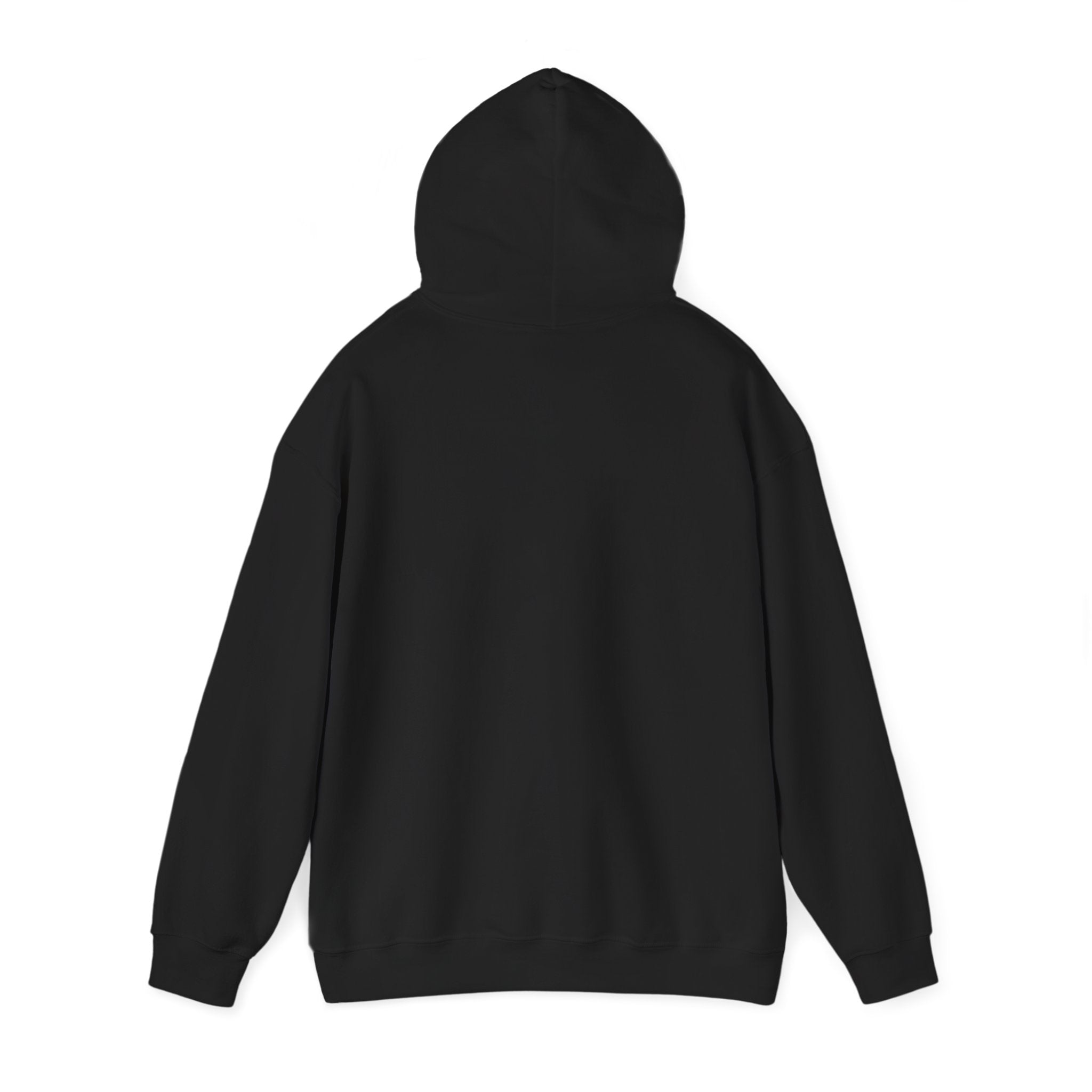 Hoodie - Football Edition, Black and Green, White and Green, Unisex Sweatshirt, Gift for Fans, Cozy Fall Hoodie, Forever Next Year NY™
