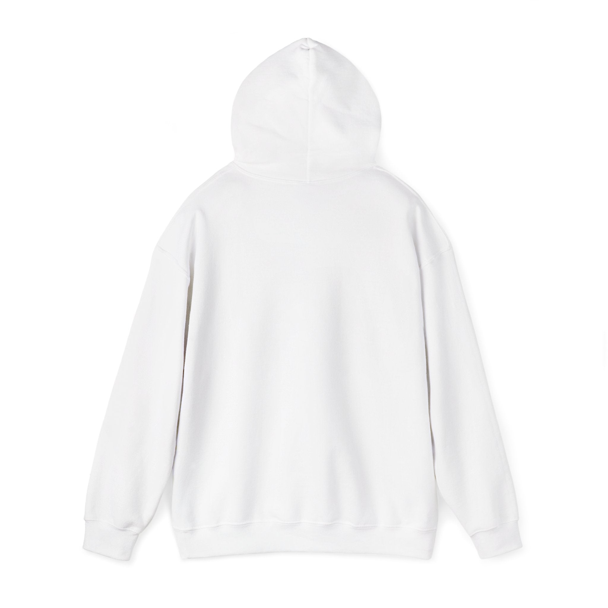 Hoodie - Football Edition, Blue and Red, White and Red, Unisex Sweatshirt, Gift for Fans, Cozy Fall Hoodie, Forever Next Year NY™