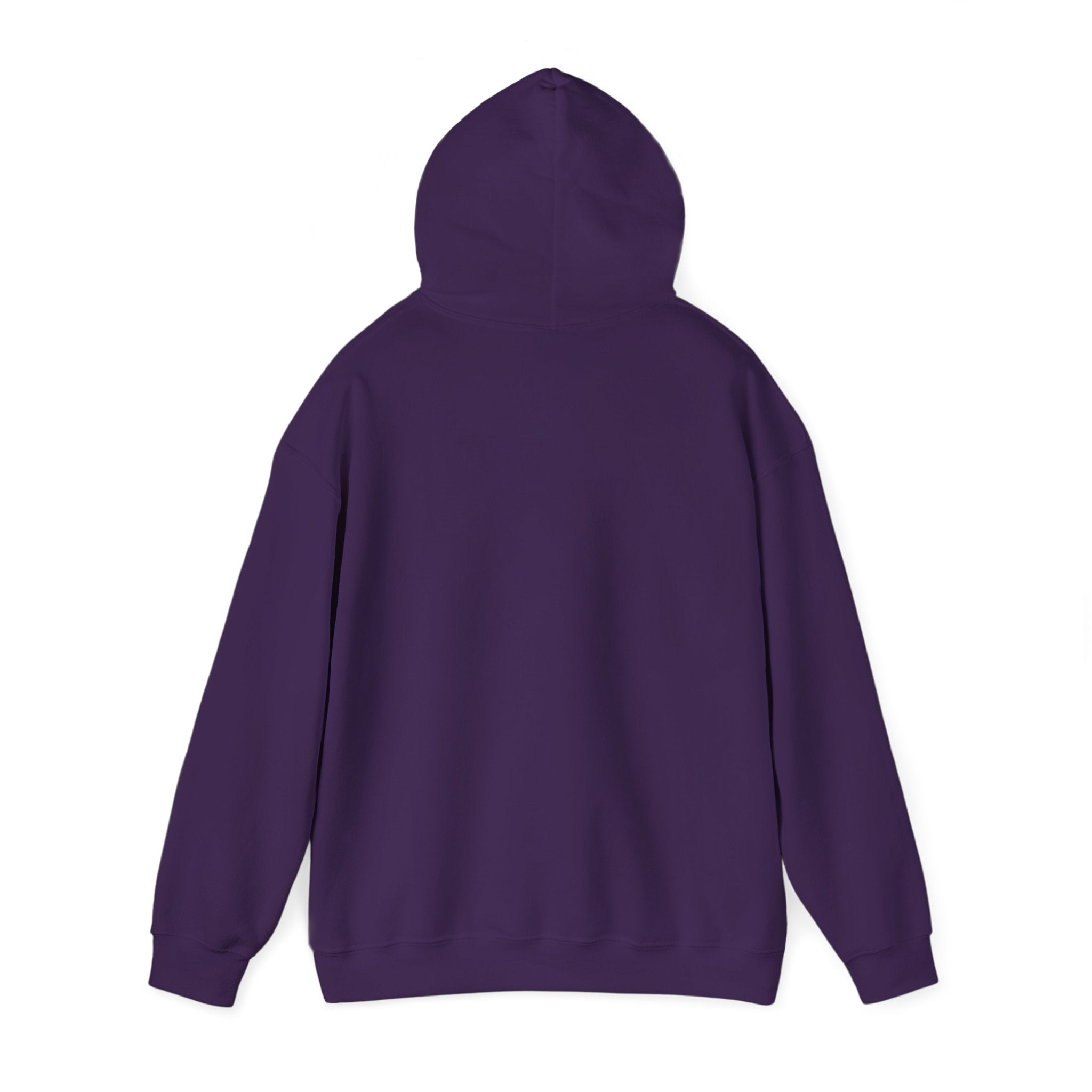 Hoodie - Baseball Edition, White, Blue and Orange, Unisex Sweatshirt, Gift for Fans, Cozy Fall Hoodie, Forever Next Year NY™