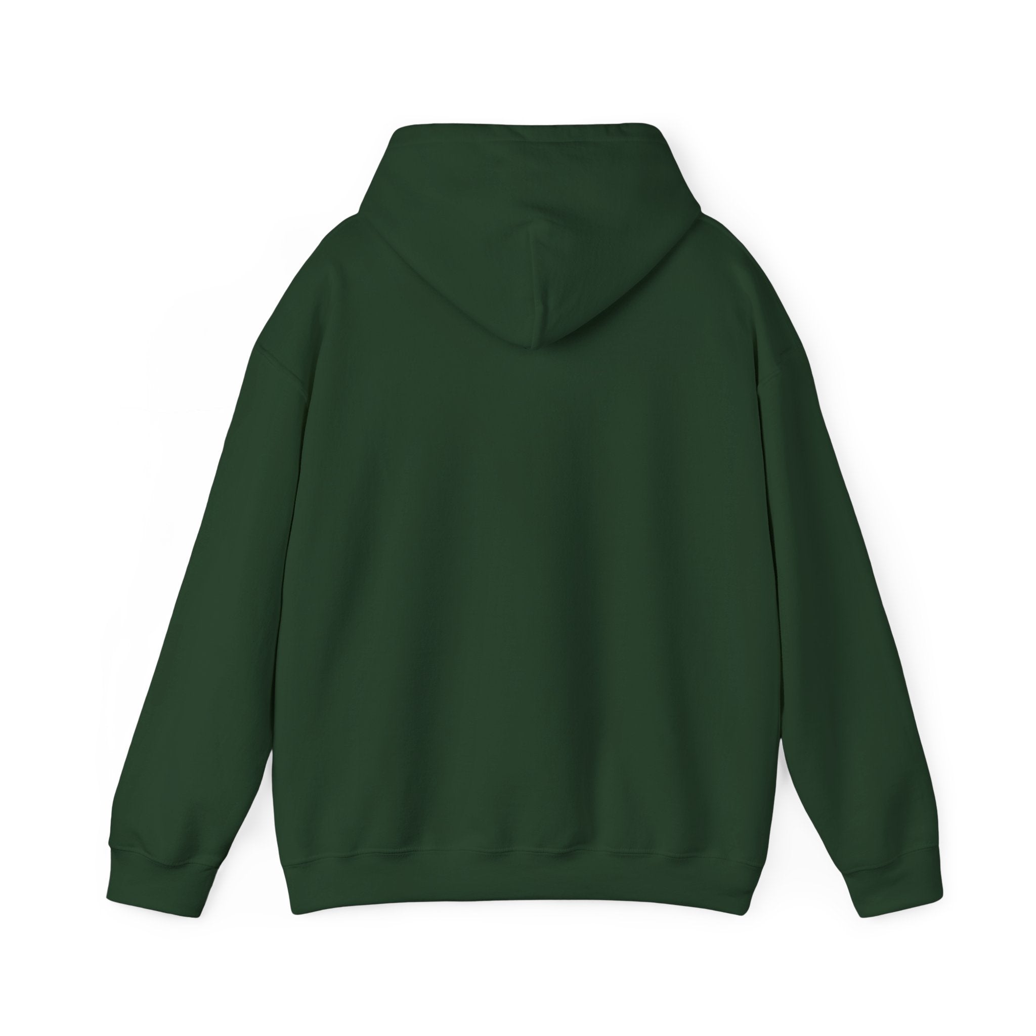 Hoodie - Football Edition, Green and White, Unisex Sweatshirt, Gift for Fans, Cozy Fall Hoodie, Forever Next Year NY™